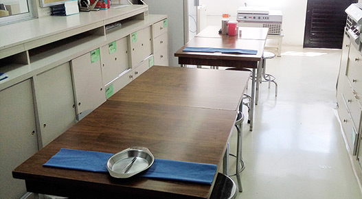 AMIC Asociación Mexicana para la Investigación Clínica, A.C.